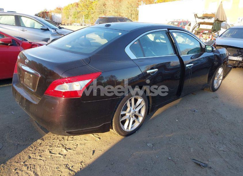 Photo 4 of 2010 Nissan Maxima 3.5 SV (VIN 1N4AA5AP3AC858076)