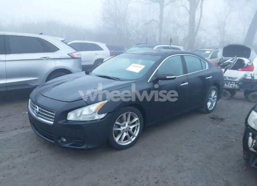 Photo 2 of 2010 Nissan Maxima 3.5 SV (VIN 1N4AA5AP3AC858904)