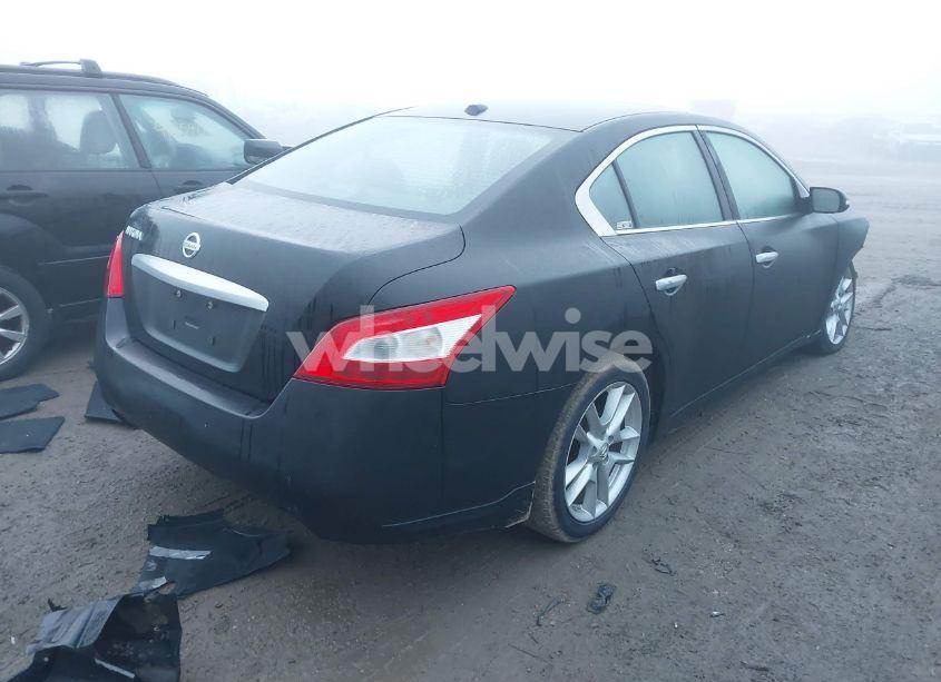 Photo 4 of 2010 Nissan Maxima 3.5 SV (VIN 1N4AA5AP3AC858904)