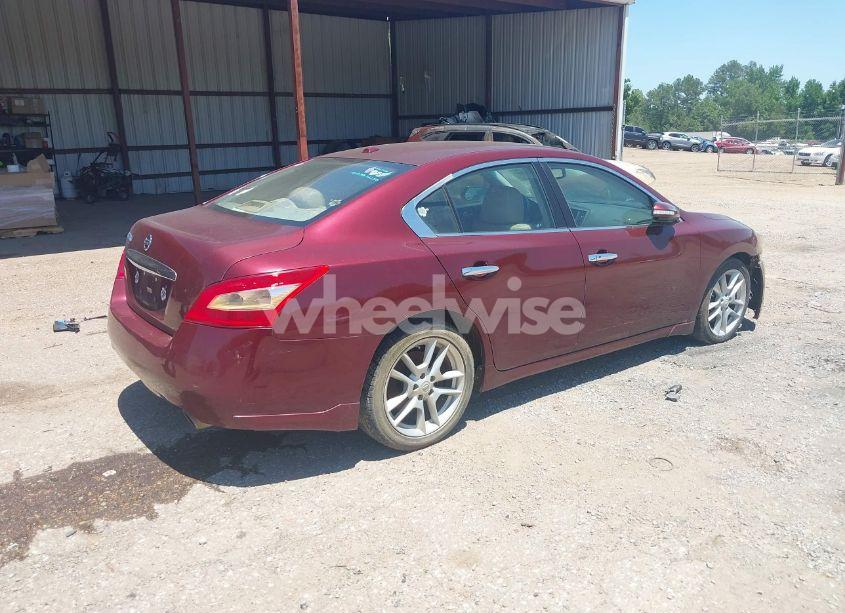 Photo 4 of 2011 Nissan Maxima 3.5 SV (VIN 1N4AA5AP3BC801104)