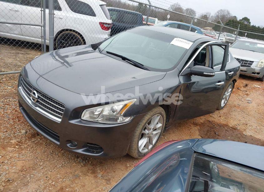 Photo 2 of 2011 Nissan Maxima 3.5 SV (VIN 1N4AA5AP3BC815102)