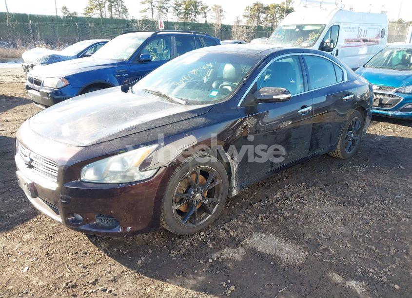 Photo 2 of 2011 Nissan Maxima 3.5 SV (VIN 1N4AA5AP3BC819621)