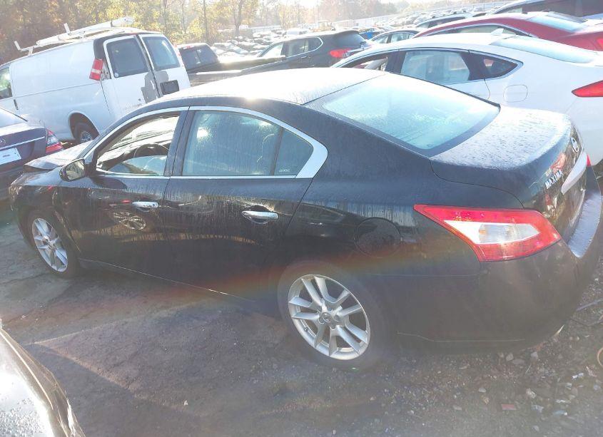 Photo 14 of 2011 Nissan Maxima 3.5 S (VIN 1N4AA5AP3BC820932)