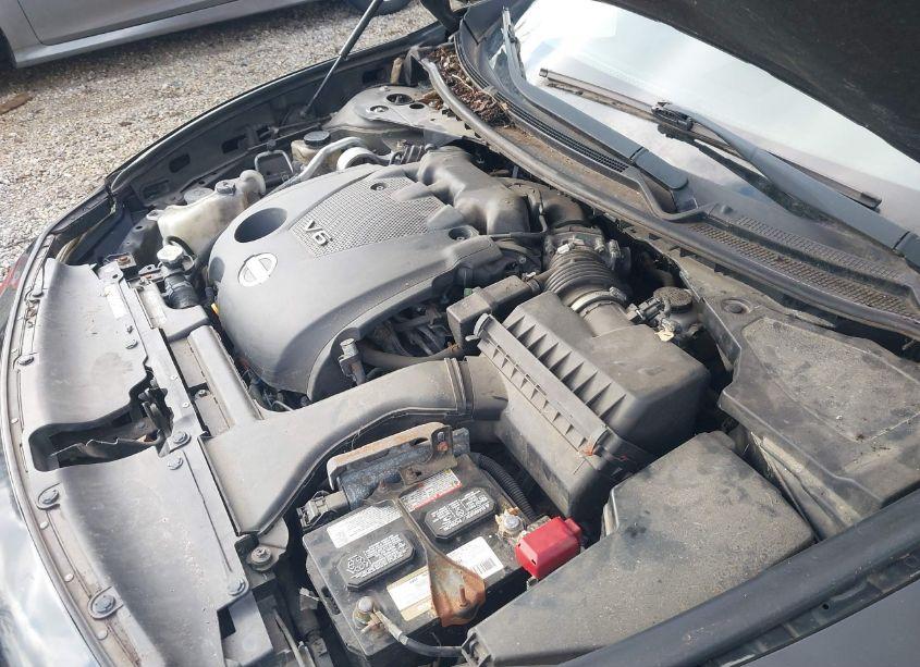 Photo 10 of 2011 Nissan Maxima S/SV (VIN 1N4AA5AP3BC831879)