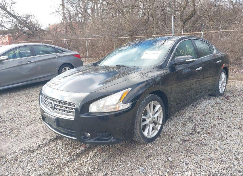 Photo 2 of 2011 Nissan Maxima S/SV (VIN 1N4AA5AP3BC831879)