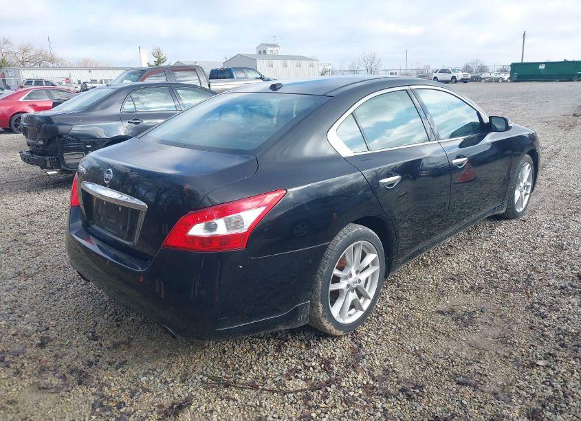 Photo 4 of 2011 Nissan Maxima S/SV (VIN 1N4AA5AP3BC831879)