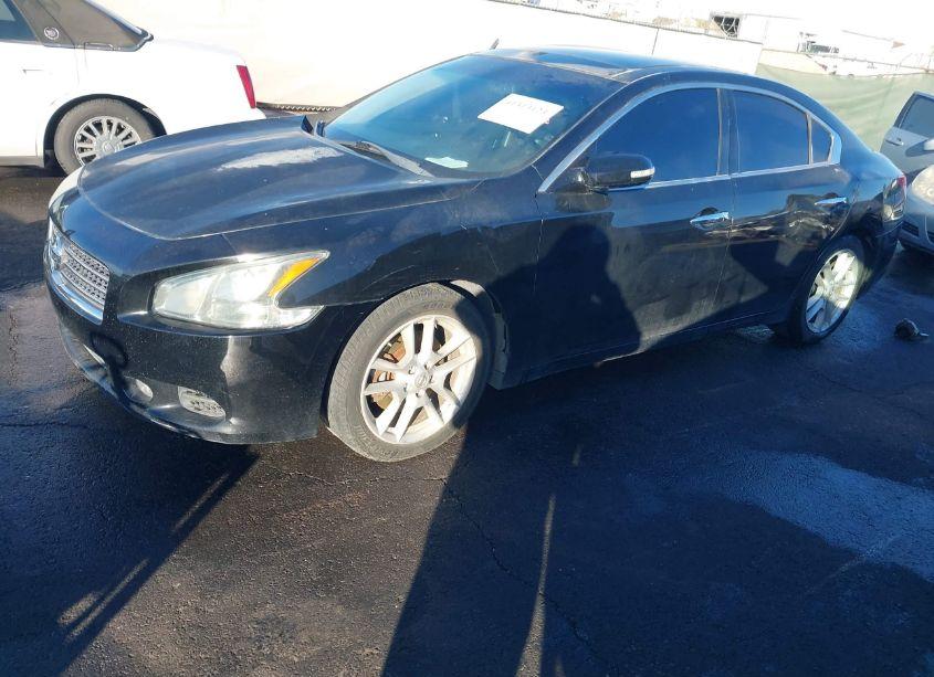 Photo 2 of 2011 Nissan Maxima 3.5 SV (VIN 1N4AA5AP3BC847466)