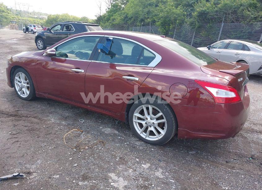 Photo 3 of 2011 Nissan Maxima 3.5 SV (VIN 1N4AA5AP3BC847659)