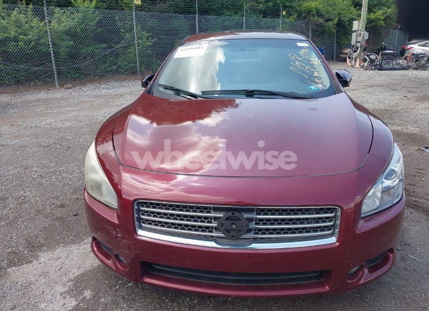 Photo 6 of 2011 Nissan Maxima 3.5 SV (VIN 1N4AA5AP3BC847659)