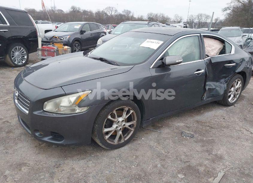 Photo 2 of 2013 Nissan Maxima 3.5 SV (VIN 1N4AA5AP3DC816950)