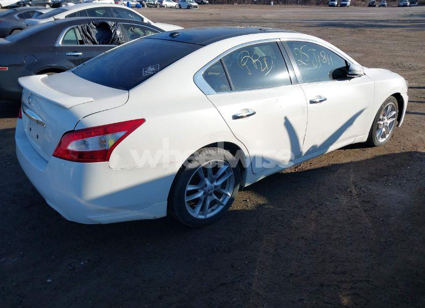 Photo 2 of 2010 Nissan Maxima 3.5 SV (VIN 1N4AA5AP4AC801823)