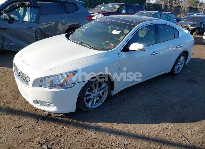 Photo 4 of 2010 Nissan Maxima 3.5 SV (VIN 1N4AA5AP4AC801823)