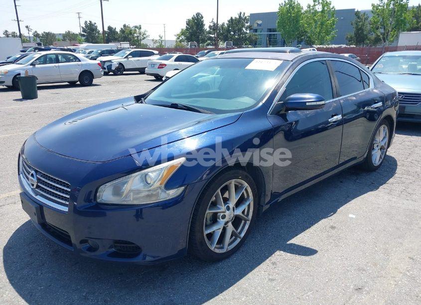Photo 2 of 2010 Nissan Maxima 3.5 SV (VIN 1N4AA5AP4AC827791)