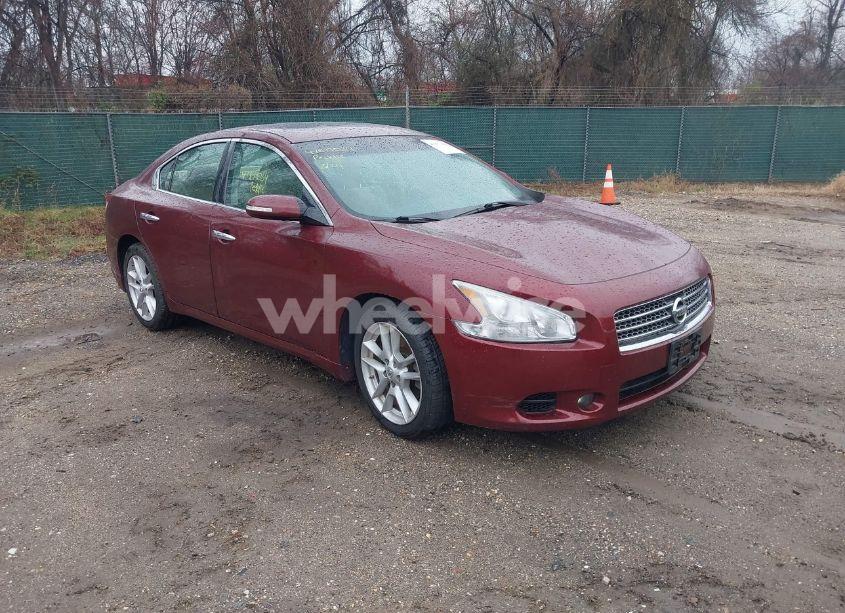 2010 Nissan Maxima 3.5 SV (VIN 1N4AA5AP4AC829475) main photo