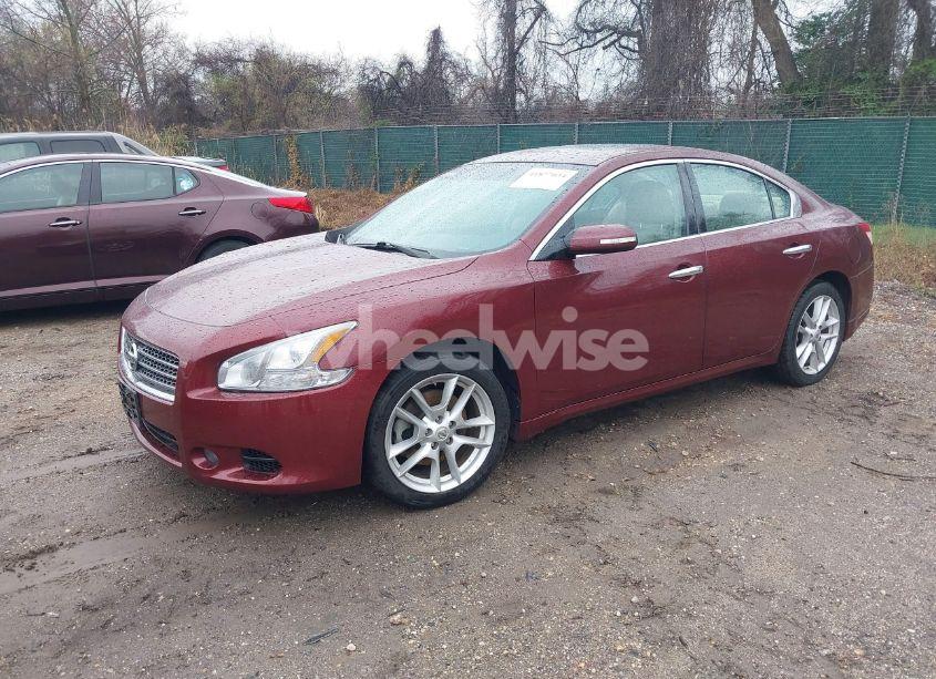 Photo 2 of 2010 Nissan Maxima 3.5 SV (VIN 1N4AA5AP4AC829475)