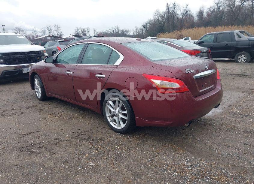 Photo 3 of 2010 Nissan Maxima 3.5 SV (VIN 1N4AA5AP4AC829475)