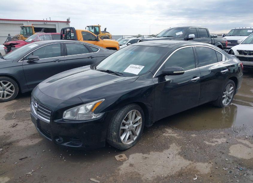 Photo 2 of 2010 Nissan Maxima 3.5 SV (VIN 1N4AA5AP4AC839682)