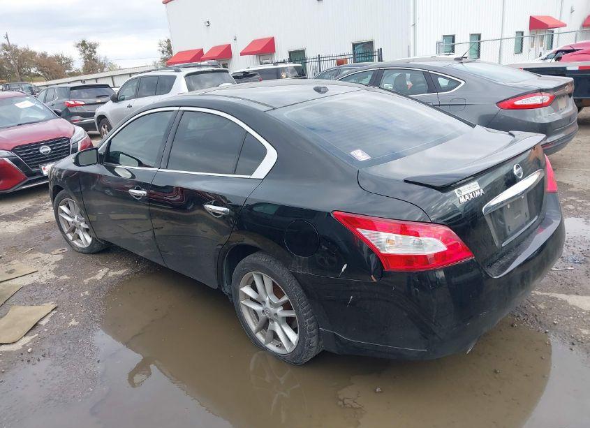 Photo 3 of 2010 Nissan Maxima 3.5 SV (VIN 1N4AA5AP4AC839682)