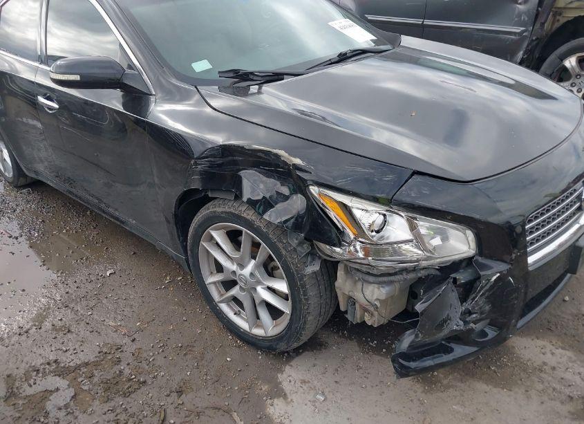 Photo 6 of 2010 Nissan Maxima 3.5 SV (VIN 1N4AA5AP4AC839682)