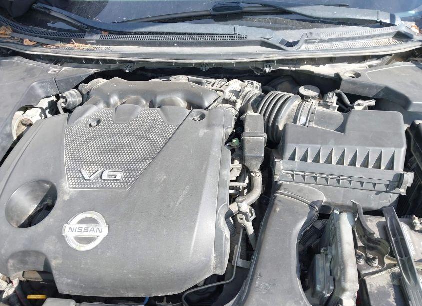 Photo 10 of 2010 Nissan Maxima 3.5 SV (VIN 1N4AA5AP4AC841139)