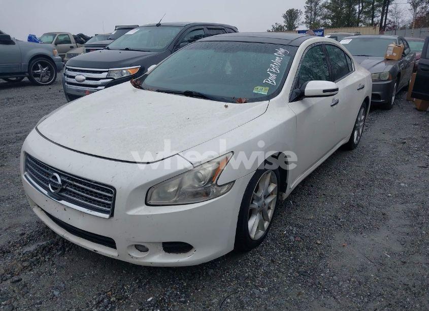 Photo 2 of 2010 Nissan Maxima 3.5 SV W/PREMIUM PKG (VIN 1N4AA5AP4AC849189)
