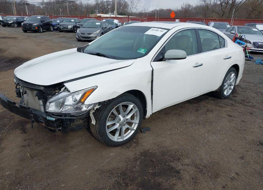 Photo 2 of 2010 Nissan Maxima 3.5 S (VIN 1N4AA5AP4AC849919)