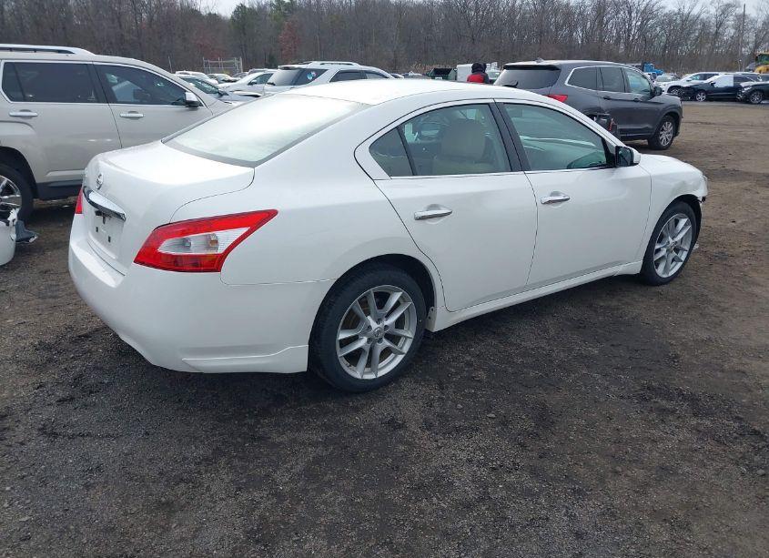 Photo 4 of 2010 Nissan Maxima 3.5 S (VIN 1N4AA5AP4AC849919)