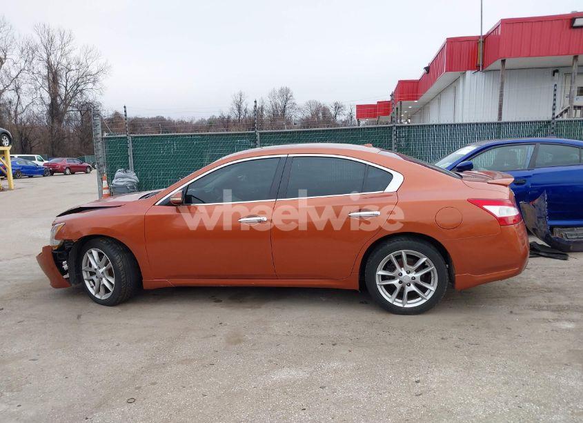 Photo 14 of 2010 Nissan Maxima 3.5 SV (VIN 1N4AA5AP4AC868289)