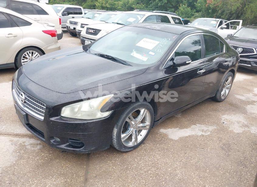 Photo 2 of 2010 Nissan Maxima 3.5 SV (VIN 1N4AA5AP4AC872553)