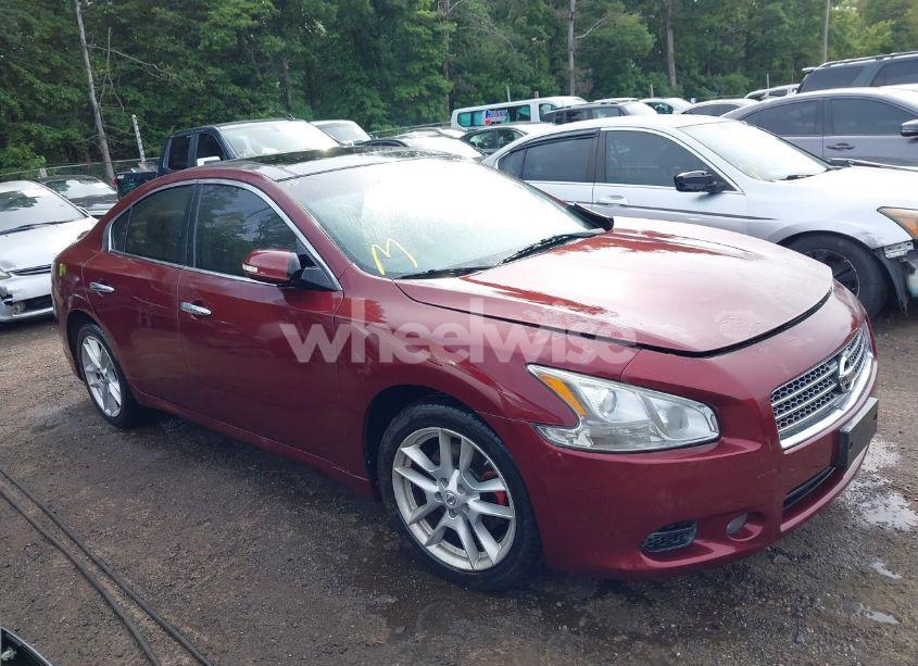 2011 Nissan Maxima 3.5 SV (VIN 1N4AA5AP4BC803976) main photo