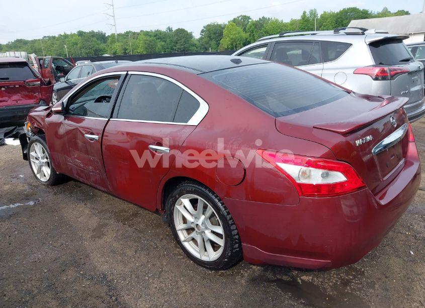 Photo 3 of 2011 Nissan Maxima 3.5 SV (VIN 1N4AA5AP4BC803976)