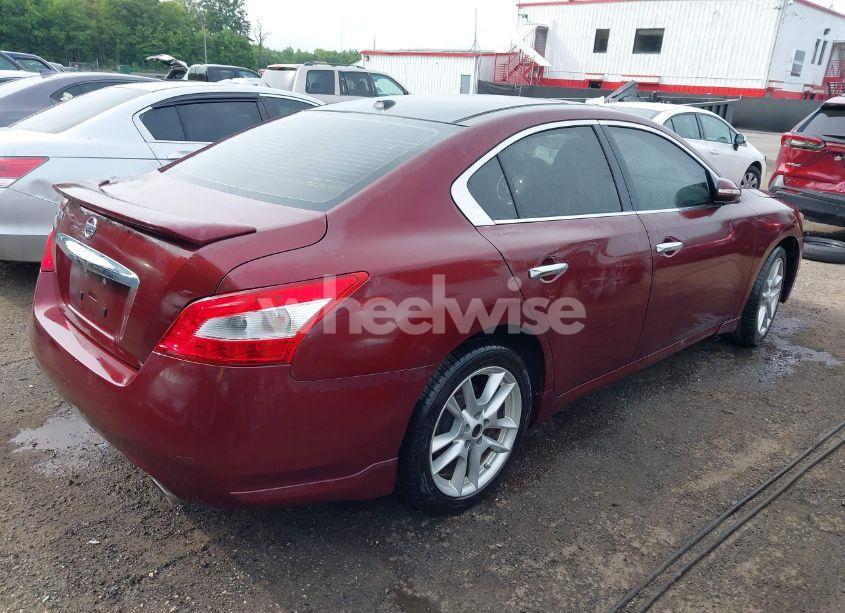 Photo 4 of 2011 Nissan Maxima 3.5 SV (VIN 1N4AA5AP4BC803976)