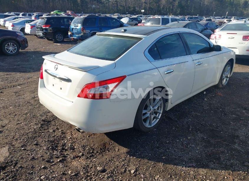 Photo 4 of 2011 Nissan Maxima 3.5 SV (VIN 1N4AA5AP4BC804433)
