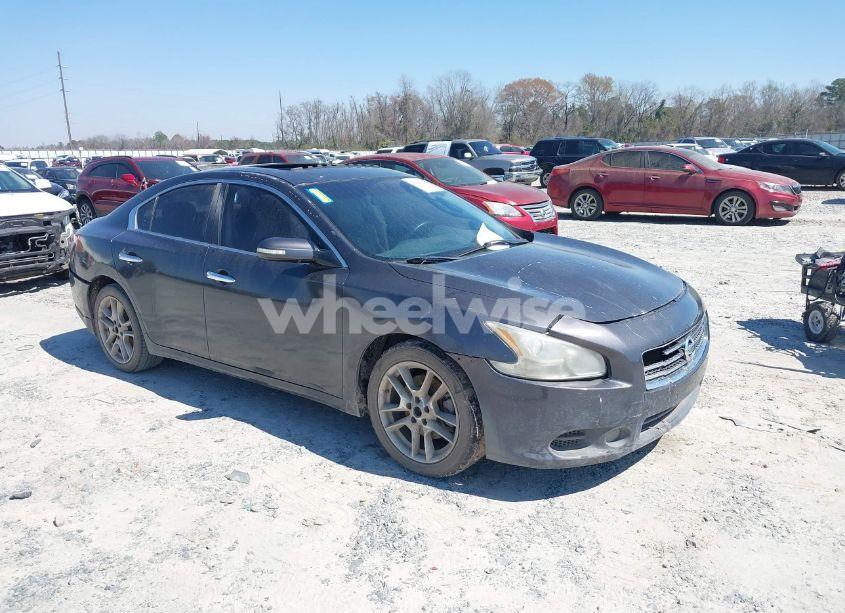 2011 Nissan Maxima 3.5 SV (VIN 1N4AA5AP4BC806666) main photo