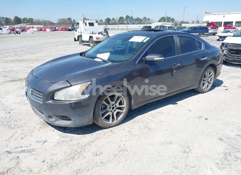 Photo 2 of 2011 Nissan Maxima 3.5 SV (VIN 1N4AA5AP4BC806666)
