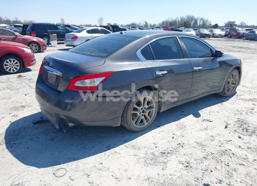 Photo 4 of 2011 Nissan Maxima 3.5 SV (VIN 1N4AA5AP4BC806666)