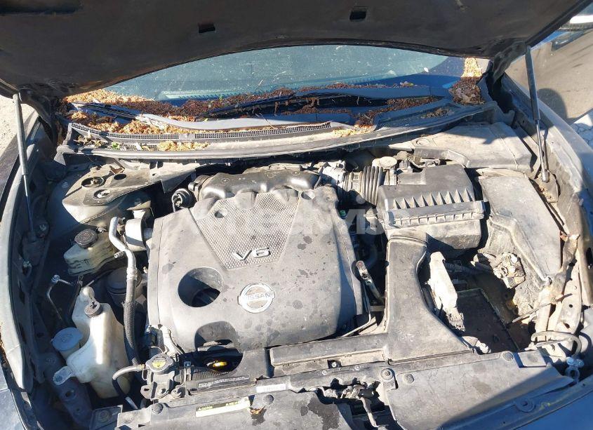 Photo 10 of 2011 Nissan Maxima S/SV (VIN 1N4AA5AP4BC845192)