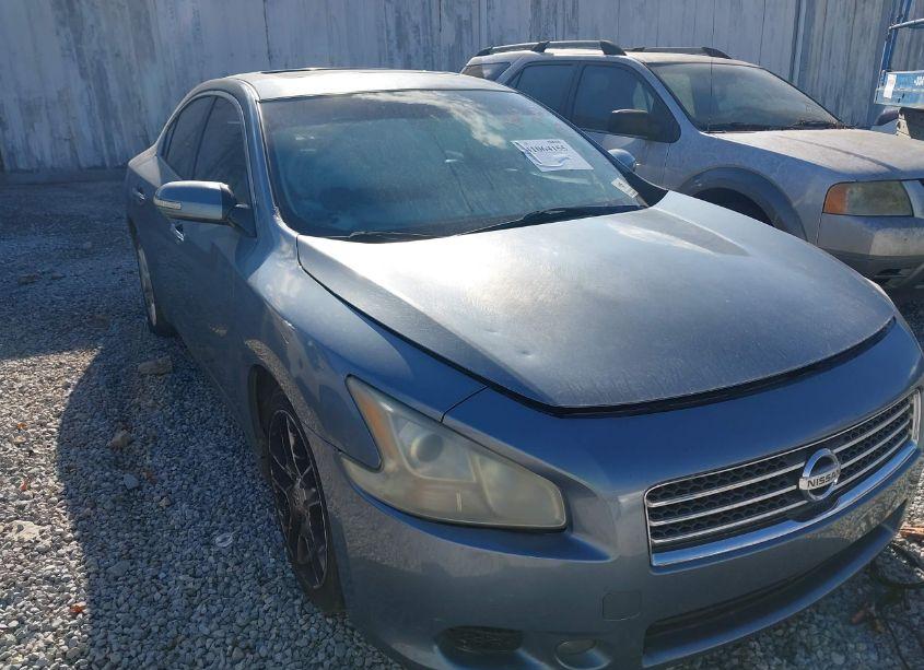 2011 Nissan Maxima 3.5 SV (VIN 1N4AA5AP4BC846004) main photo