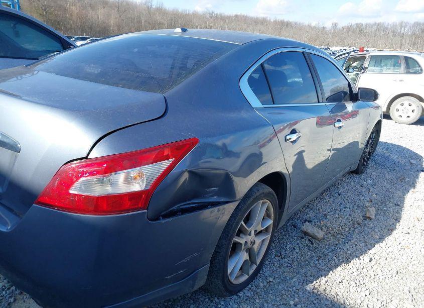 Photo 4 of 2011 Nissan Maxima 3.5 SV (VIN 1N4AA5AP4BC846004)