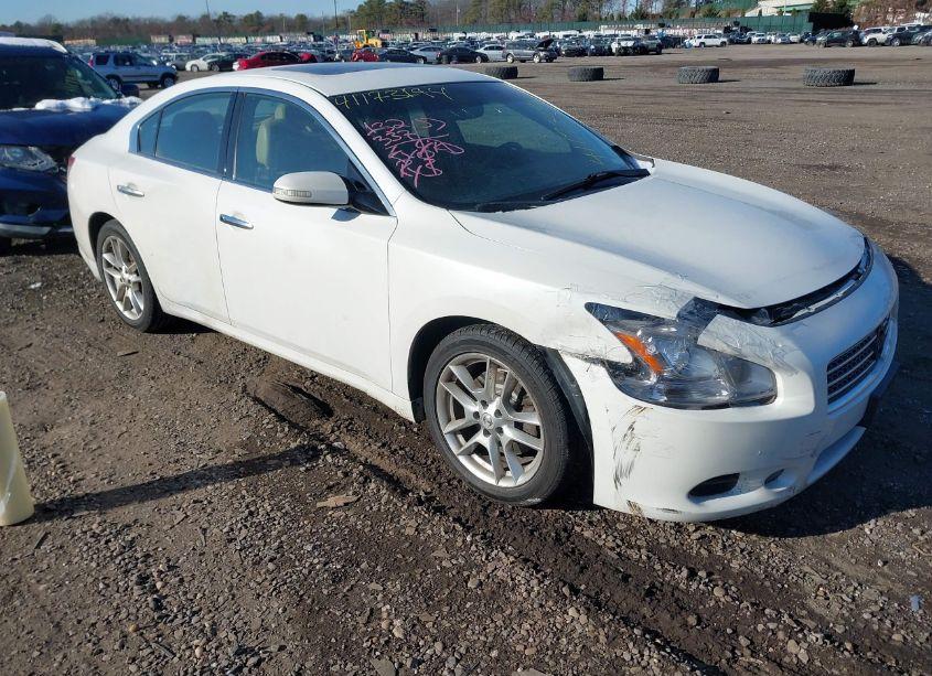 2011 Nissan Maxima 3.5 SV (VIN 1N4AA5AP4BC862025) main photo