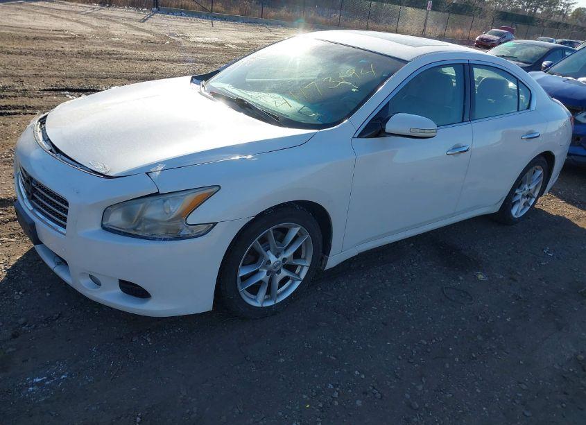 Photo 2 of 2011 Nissan Maxima 3.5 SV (VIN 1N4AA5AP4BC862025)