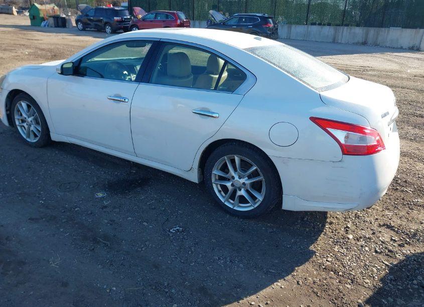 Photo 3 of 2011 Nissan Maxima 3.5 SV (VIN 1N4AA5AP4BC862025)