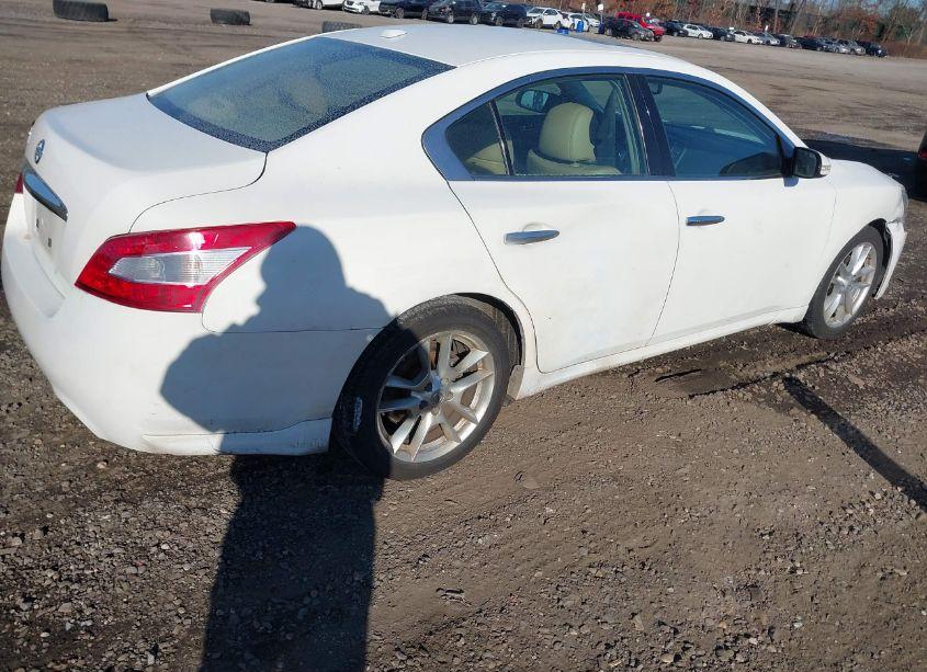 Photo 4 of 2011 Nissan Maxima 3.5 SV (VIN 1N4AA5AP4BC862025)
