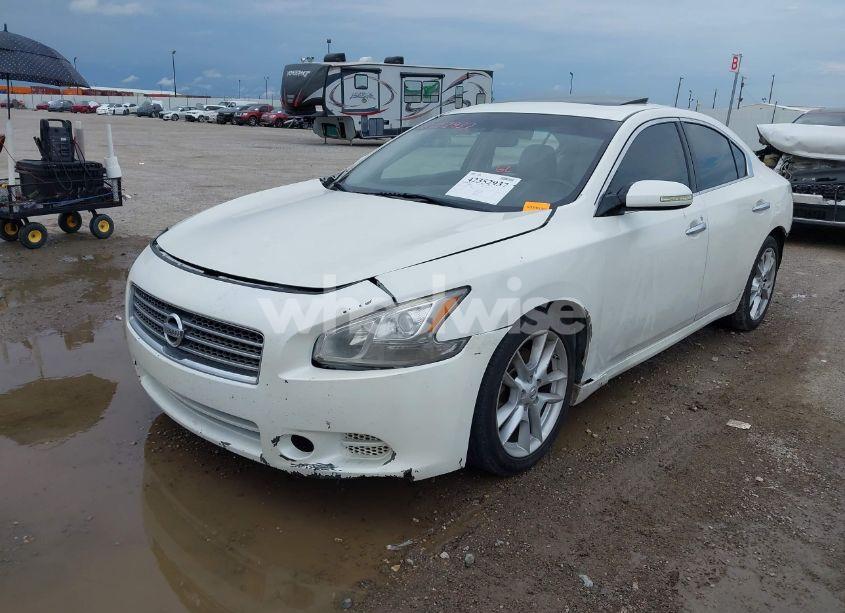 Photo 2 of 2012 Nissan Maxima 3.5 SV (VIN 1N4AA5AP4CC810203)
