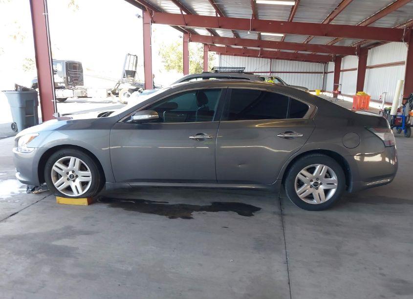 Photo 14 of 2014 Nissan Maxima 3.5 SV (VIN 1N4AA5AP4EC459604)