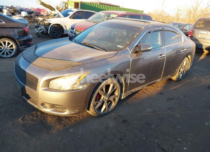 Photo 2 of 2014 Nissan Maxima 3.5 SV (VIN 1N4AA5AP4EC910708)