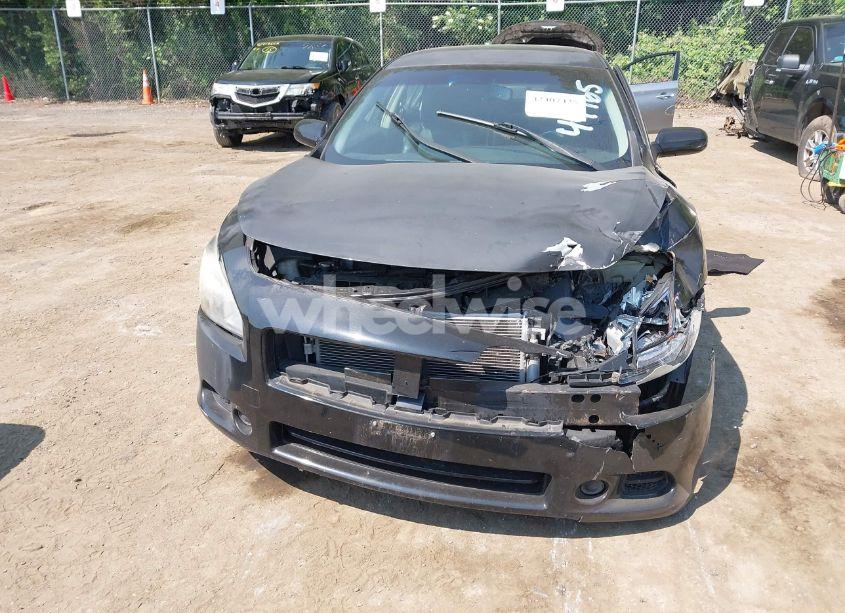 Photo 13 of 2010 Nissan Maxima 3.5 S (VIN 1N4AA5AP5AC801037)