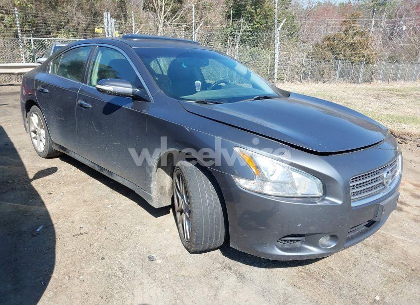 2010 Nissan Maxima 3.5 SV (VIN 1N4AA5AP5AC805685) main photo
