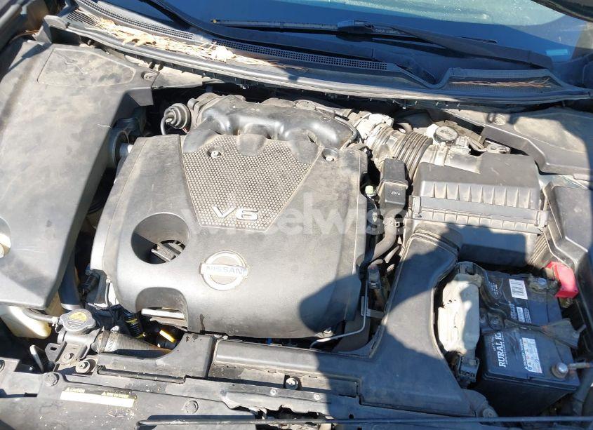Photo 10 of 2010 Nissan Maxima 3.5 SV (VIN 1N4AA5AP5AC805685)