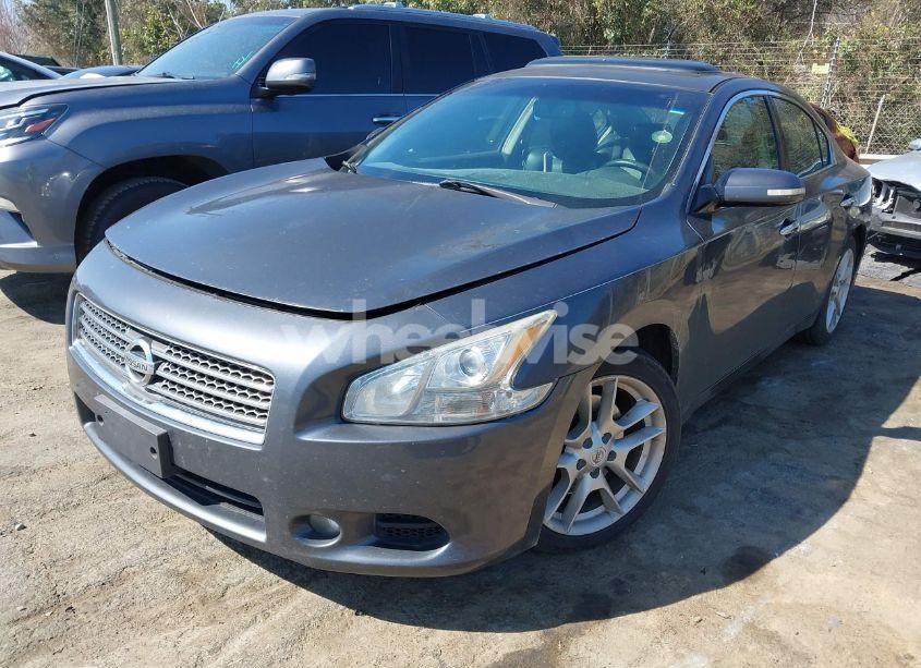 Photo 2 of 2010 Nissan Maxima 3.5 SV (VIN 1N4AA5AP5AC805685)
